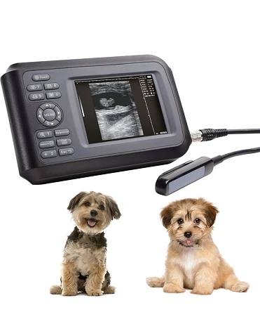 animal ultrasound machine