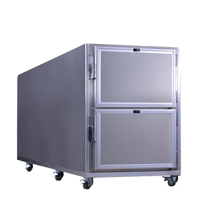 Bodies Corpse Freezer