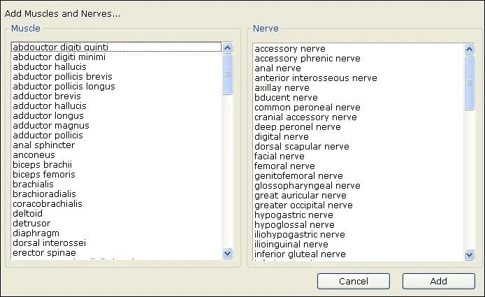 YJ-EMG2016 -Four-Channel-Electromygram-EEG-Ep-System-Device-Electromyography-Emg-Medical-Equipment.webp