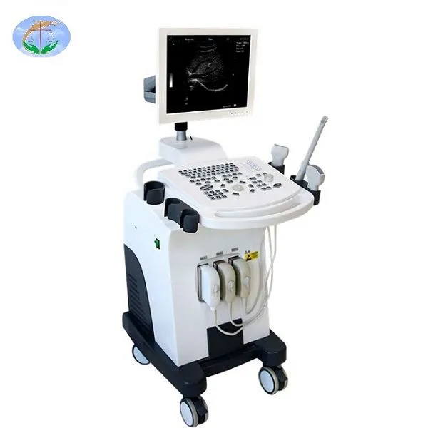 Ασπρόμαυρο Usg Πλήρης Ψηφιακός Σαρωτής Υπερήχων φορητού υπολογιστή